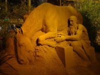 /album/galleria-foto-galleria-fotografica/dsc01617b-jpg/