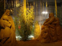 /album/galleria-foto-galleria-fotografica/dsc01622b-jpg/