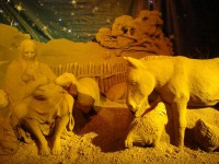 /album/galleria-foto-galleria-fotografica/dsc01623b-jpg/