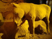 /album/galleria-foto-galleria-fotografica/dsc01624b-jpg/