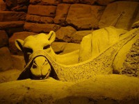 /album/galleria-foto-galleria-fotografica/dsc01651b-jpg/