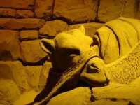 /album/galleria-foto-galleria-fotografica/dsc01654b-jpg/