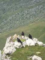 /album/foto-2011-C-/dsc00004b-jpg/