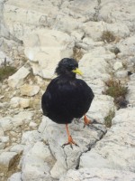 /album/foto-2011-C-/dsc00016b-jpg/