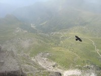 /album/foto-2011-C-/dsc00041b-jpg/