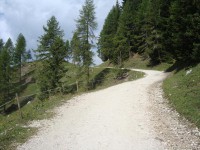 /album/foto-2011-C-/dsc09463b-jpg/