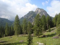 /album/foto-2011-C-/dsc09466b-jpg/