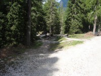 /album/foto-2011-C-/dsc09475b-jpg/