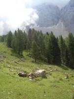 /album/foto-2011-C-/dsc09480b-jpg/