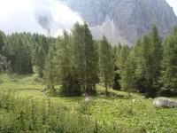 /album/foto-2011-C-/dsc09481b-jpg/