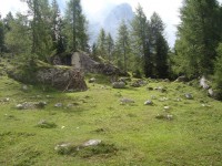 /album/foto-2011-C-/dsc09496b-jpg/