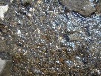 /album/foto-2011-C-/dsc09497b-jpg/