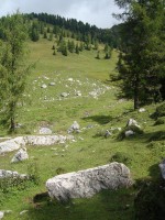 /album/foto-2011-C-/dsc09505b-jpg/