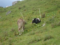 /album/foto-2011-C-/dsc09519b-jpg/