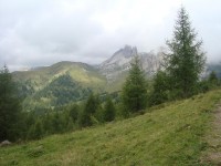 /album/foto-2011-C-/dsc09539b-jpg/