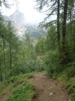 /album/foto-2011-C-/dsc09554b-jpg/