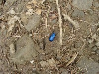 /album/foto-2011-C-/dsc09556b-jpg/