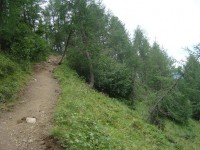 /album/foto-2011-C-/dsc09557b-jpg/