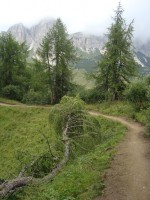 /album/foto-2011-C-/dsc09558b-jpg/