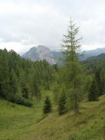 /album/foto-2011-C-/dsc09559b-jpg/