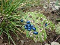 /album/foto-2011-C-/dsc09563b-jpg/