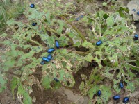 /album/foto-2011-C-/dsc09564b-jpg/