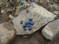 /album/foto-2011-C-/dsc09565b-jpg/