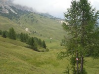 /album/foto-2011-C-/dsc09567b-jpg/