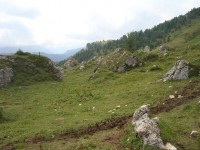 /album/foto-2011-C-/dsc09587b-jpg/