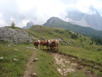 /album/foto-2011-C-/dsc09602b-jpg/