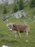 /album/foto-2011-C-/dsc09614b-jpg/