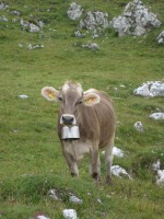 /album/foto-2011-C-/dsc09616b-jpg/