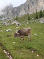 /album/foto-2011-C-/dsc09617b-jpg/