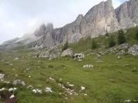 /album/foto-2011-C-/dsc09618b-jpg/