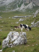 /album/foto-2011-C-/dsc09619b-jpg/