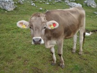 /album/foto-2011-C-/dsc09620b-jpg/