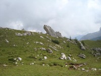 /album/foto-2011-C-/dsc09626b-jpg/